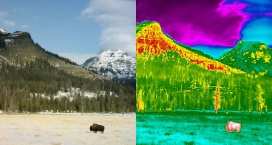 Infrared photos reveal Yellowstone’s dark side      Using high-res heat vision, a scientist and a photographer are shedding new light on Yellowstone — and hoping to inspire new scientists in the process.