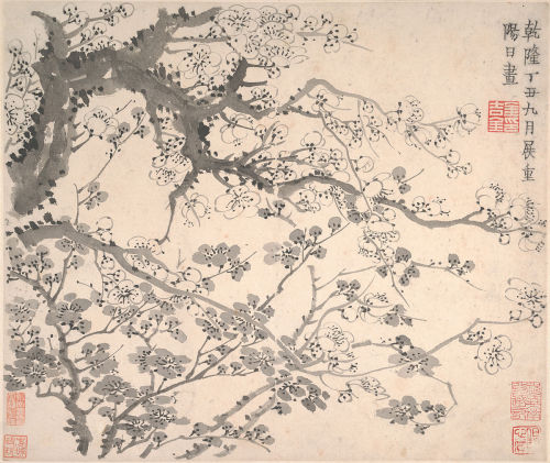 traditional-chinese-art:Plum Blossoms dated 1757Jin Nong ChineseMuseum Description:Jin Nong’s 