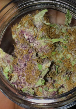 feelthefrost:  Blackberry Pie