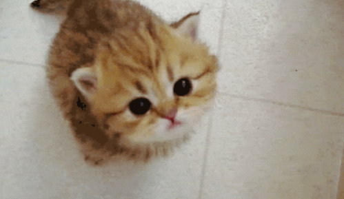 なかないで