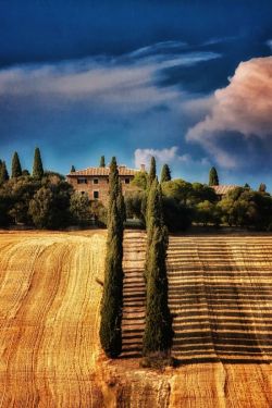 greatlittleplace:  San Quirico d’Orcia,