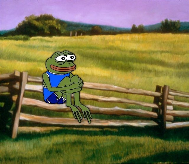 the signs as rare pepes