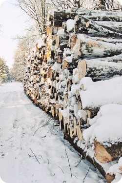 Snowandcoco:  ☃❄Seasonal Blog, Follow Snowandcoco For More Winter!❄☃