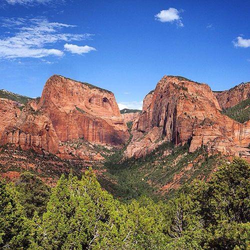 katinahouvouras:The mighty Zion National Park #Utah #travel #nationalparks #mytinyatlas #geology #zi