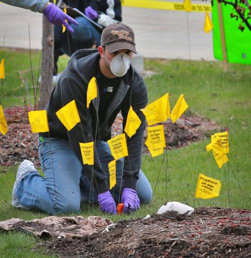 cmuniversity: CMU students were given a chance through a forensic anthropology class to investigate 