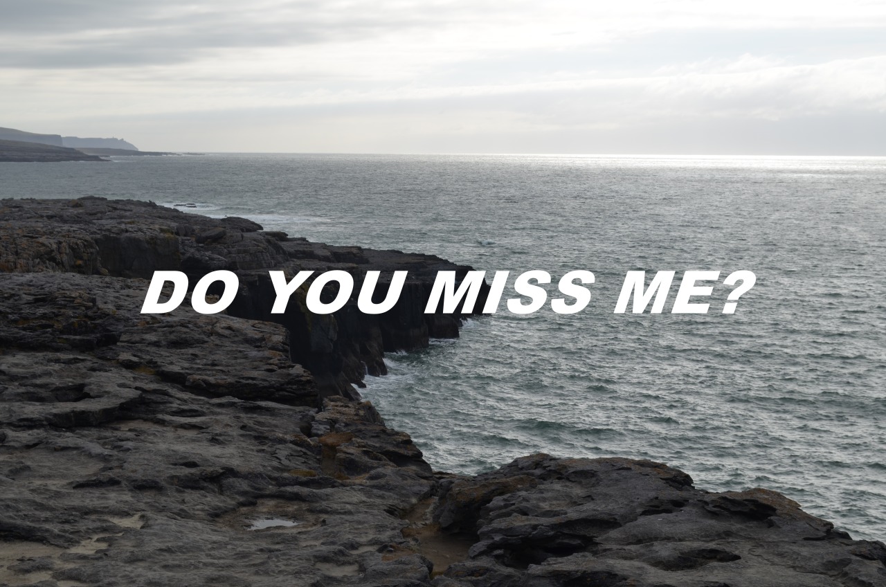 reflorated:  Do you miss me?