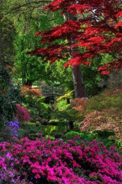 flowersgardenlove:  . Beautiful gorgeous