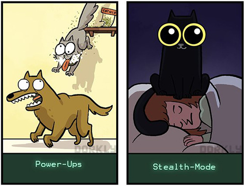 tastefullyoffensive:  Being a Cat is Like Being in a Videogame [dorkly]