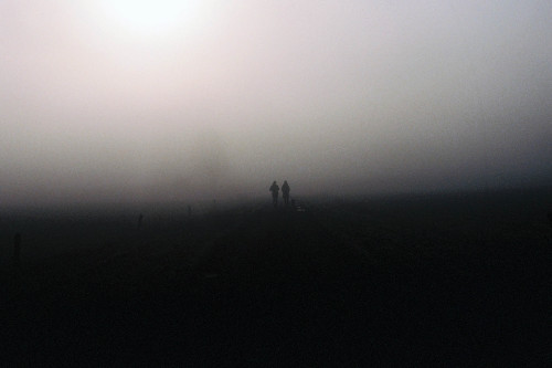 cerceos:Andy Komoll - Hammrich - Dis.appear, 2015 