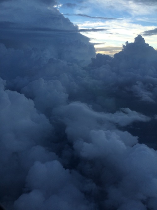 snout2:  the sky looked so nice from the plane window 