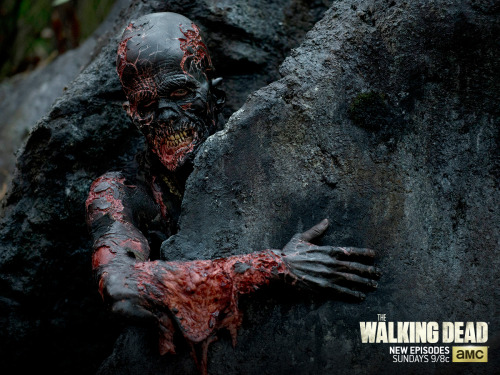 thewalkingdead: Stuck between a rock…