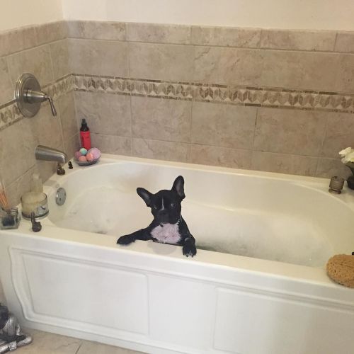 Icon is so spoiled..Bubble Bath, Coconut porn pictures