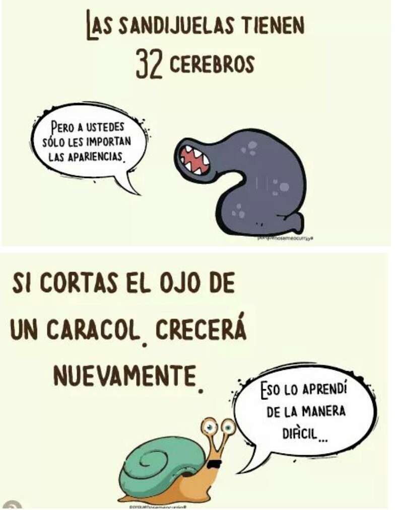 finofilipino: Nunca te acostarás sin saber una cosa más. Lo 100to por la traduxión