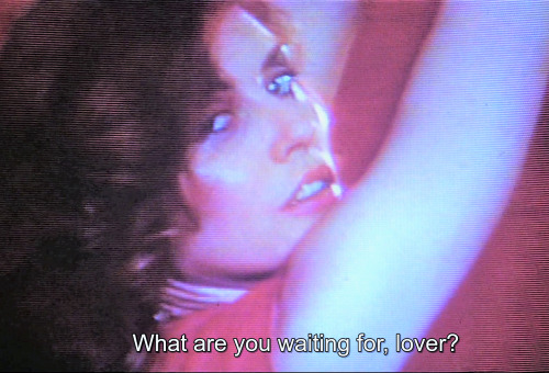 aloneandforsakenbyfateandbyman:Debbie Harry in Videodrome (1983)