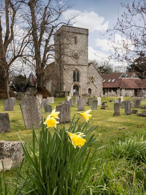 silvaris:St Mary’s Church, Kings Worthy by Mervyn Edwards