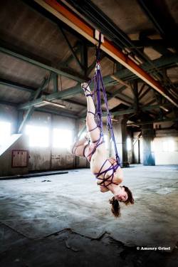 misungui:  &ldquo;PURPLE&rdquo; Rope and picture by Amaury Grisel  http://bondageisnotacrimeparis.tumblr.com/ 