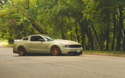 ford-mustang-generation:  Ford Mustang by Viktor Kožený on Flickr.