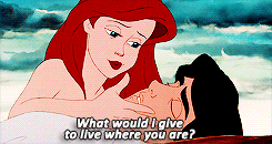 Hey, Disney Lovers!