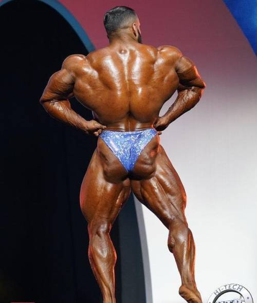 viewingthegodsofbb: officialbisandtris: Who’s up for a back workout? @hadi_choopan : @musculardevelo