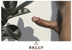 venfield8:  Designer Dick, BALLY, 2015  V E N F I E L D 8 