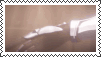Could U Make Argenti Stamps? Ur Stamps R So Cutes//..