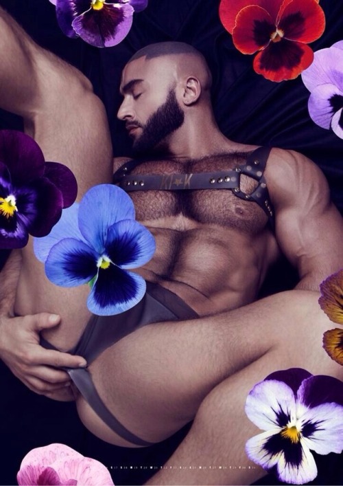 bravermonster:  Purple, flowers and Sagat