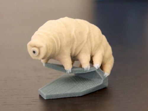 Ode To TheTardigrade