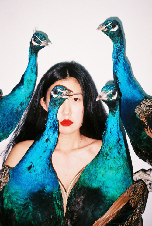 antoniomedinilla:©  Ren Hang