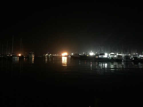 Crews Inn marina
