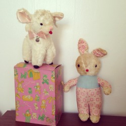 collectorsdream:  A Gund lamb that came with