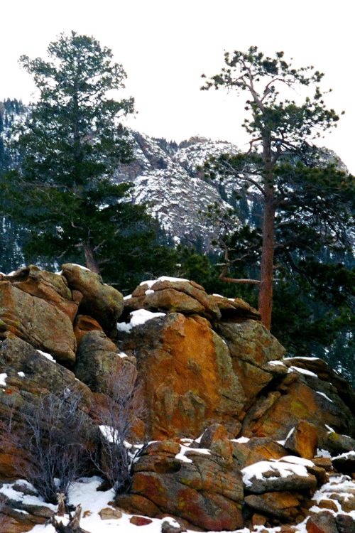 Late Winter, Rocky Mountain National Park, Colorado, 2006.