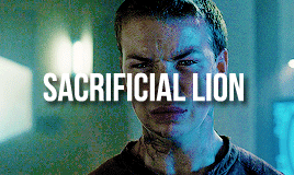 zaslavskianton:The maze runner: character tropes