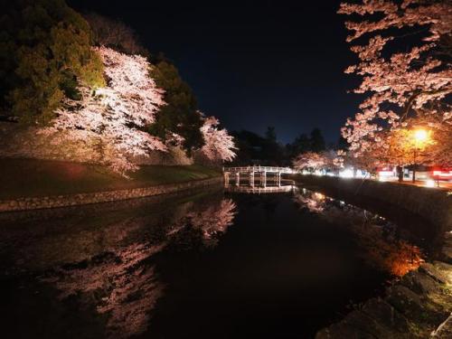 たけし ‏@tttks  又兵衛桜の前日に行った国宝 彦根城の桜。お堀に写る桜がとにかく綺麗。（上げなおし）ここで人物入れて撮ったらさぞ綺麗だろうな