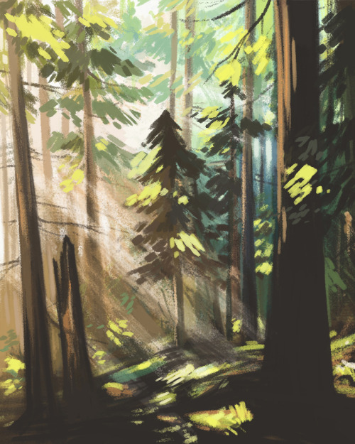 kerriaitken:Some foresty speedpaints. 