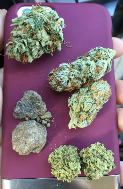 andthesorcerersstoned: Choices are always nice.