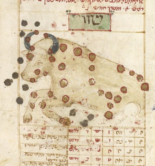 jewishhenna:antongarou:jewishhenna:Medieval Jewish Star ChartsWhile I was scrolling through the grea