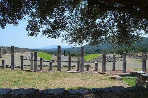 greek-museums:Coming up: Ancient Messene