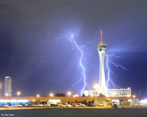 sin-city-sights:I’m sure everyone that lives here in Vegas knows we had one hell of a lightning storm blow through the west side last night. I was taking the dog for her walk when I saw the lightning off to the west. Just as we got back to the house