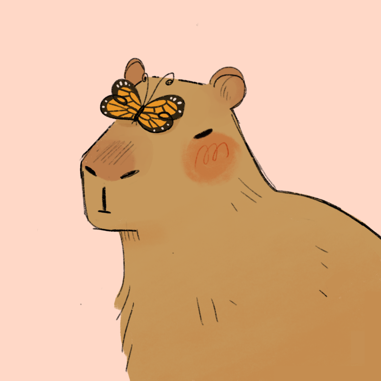 capybara, Tumblr, Capybara, Animal drawings, Cute art