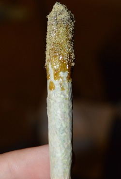 4toasterstrudel20:   Twax joint with mauiw0wie 