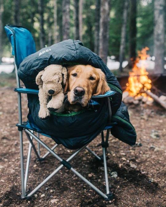 I’m a camping lover