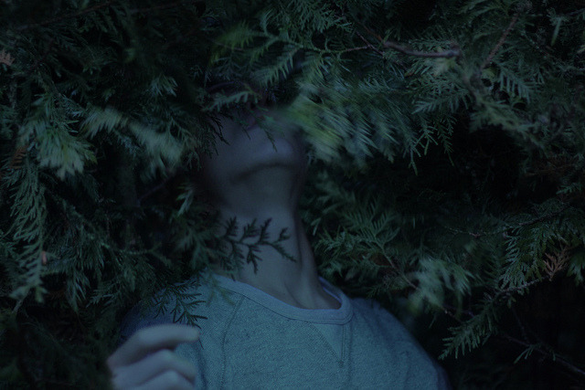 sensics:  Glow blog ☽