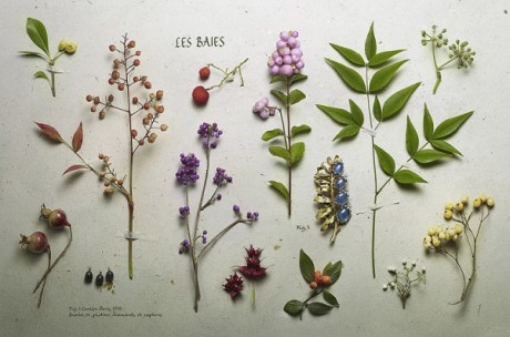 carmidoll:  Peter Lippmann 