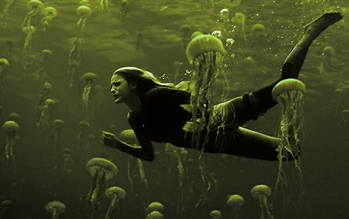 The Shallows, 2016 Director: Jaume Collet-Serra