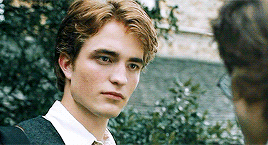 HarryPotterOnlines 10k Followers Celebration | Favorite Male Character - Cedric Diggory (8/10)