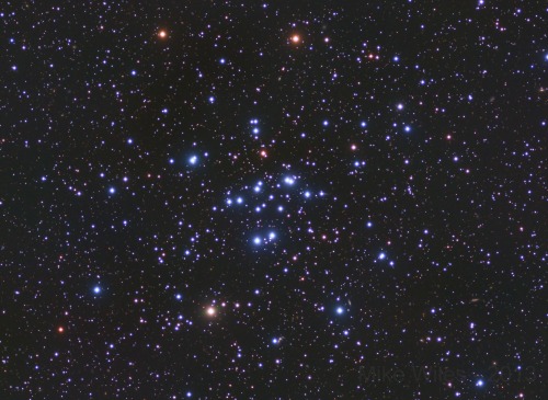 kenobi-wan-obi: Messier 34 - Open Cluster in Perseus by Mike Wiles Messier 34 (also known as M 34 or