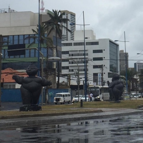 Gordinhas top (em Praia de Ondina)