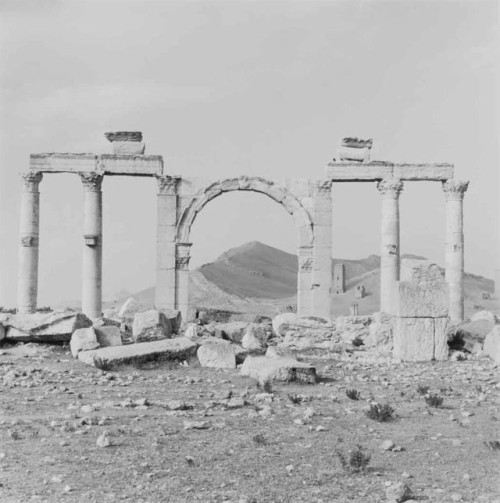 Lynn DavisArchway with Mountain Palmyra Syria 1995