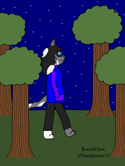 Just A Midnight Stroll Through The Forest