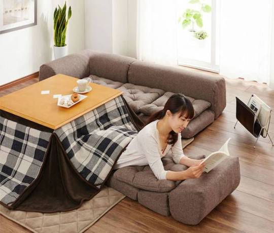 Lower heating bills with this wacky multifunctional Japanese invention